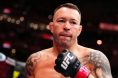 Colby Covington, UFC