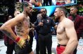 Merab Dvalishvili and Sean O'Malley, UFC 316, MMA